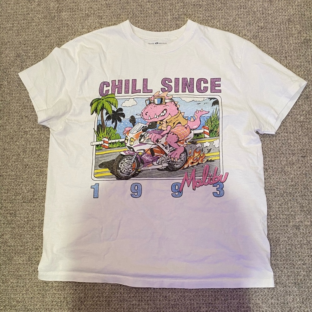 graphic tee from brandy melville